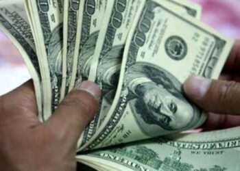 سعر الدولار في مصر