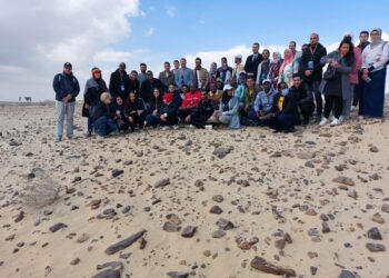 الملتقي العربي الإفريقي