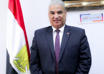 أهمية المشاركة في القمة الأوربية الإفريقية : أ.د. عادل السعدني عميد كلية الآداب جامعة قناة السويس‎‎