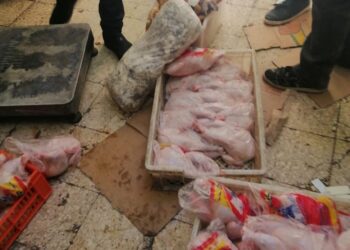ضبط 26 طن و820 كيلو لحوم مذبوحة خارج المجازر ودواجن غير صالحة للاستهلاك