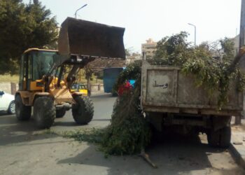 الشريف : رفع نحو 379 طن مخلفات وتراكمات وقمامة بنطاق أحياء الإسكندرية