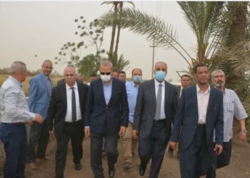 الزراعة تنظم يوم حقلي لتوعية المزارعين وحثهم على توريد القمح