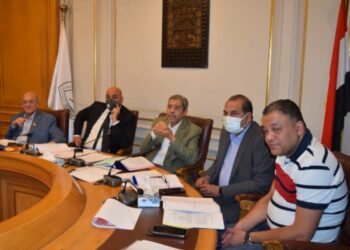 العربي : تكثيف المتابعة والتنسيق مع الجهات المعنية لضبط السوق المصري
