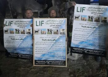 الزراعة توضح تقرير تحصين المواشي ضد الحمى القلاعية والوادي المتصدع