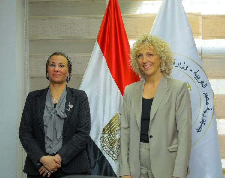 تعاون بين مصر وألمانيا استعدادا لمؤتمر المناخ القادم