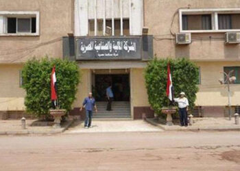 الشركه المالية والصناعية بكفرالزيات تحقق أرباحا غير مسبوقه فى تاريخ الصناعه .