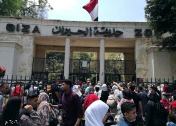 اكثر من 200 الف زائر لحديقه الحيوان  خلال اجازه عيد الفطر