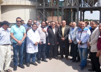 الشريف يعلن بدء موسم توريد القمح بالإسكندرية