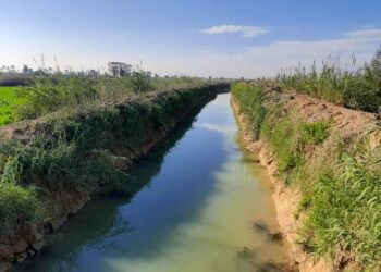 الشريف : نسبة التنفيذ بالمشروع القومي لتأهيل وتبطين الترع بلغت 80%