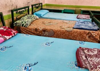 تعليم الإسكندرية