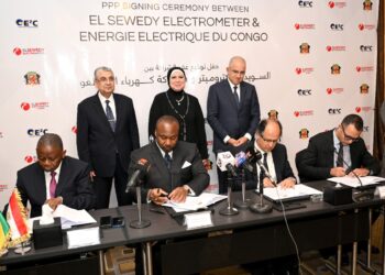 وزير الكهرباء والطاقة المتجددة