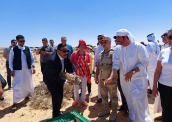 تعاون مصرى إماراتى لإطلاق وإعادة توطين طيور الحبارى فى  مصر 