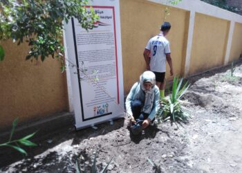 مسابقات فنية وحملات تشجير وتوعية بالتغيرات المناخية بالاقصر