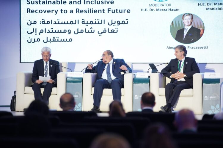 محمود محى الدين  : تمويل العمل المناخي عن طريق الاستثمار