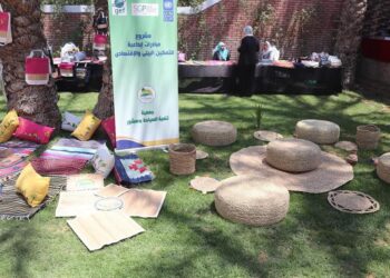 مشروع المبادرات الإبداعية بالبدرشين لتأهيل المرأة والشباب لسوق العمل