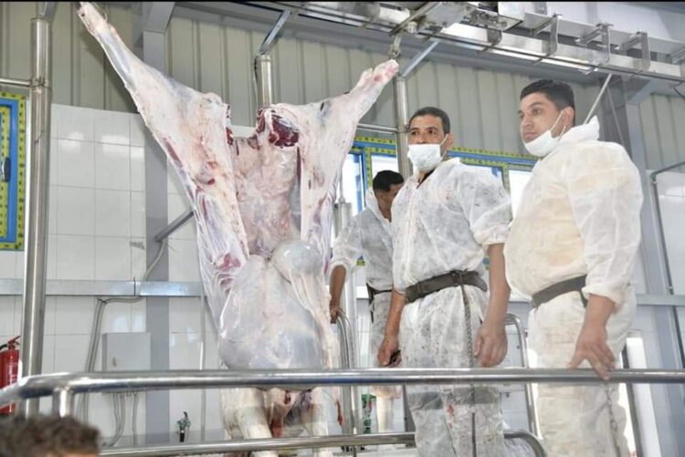 غلق مجزر طنطا ونقل الذبح إلى مجزر شبشير الحصة الجديد