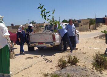 حملة  لتشجير شوارع «قبر عمير» بالتين والزيتون بشمال سيناء