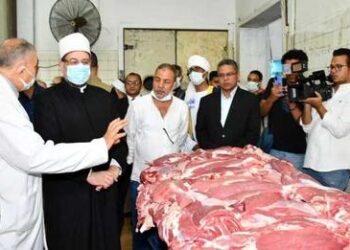 الأوقاف توزع 9 أطنان لحوم أضاحى اليوم
