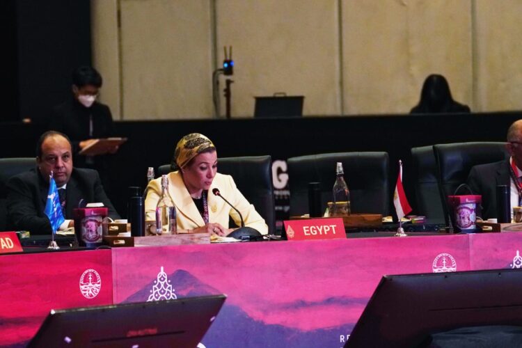 وزيرة البيئة تدعو مجموعة العشرين لخفض الانبعاثات والوفاء بالتزاماتها في تمويل المناخ