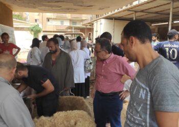 طب بيطري المنوفية في قافلة بيطرية بمليج