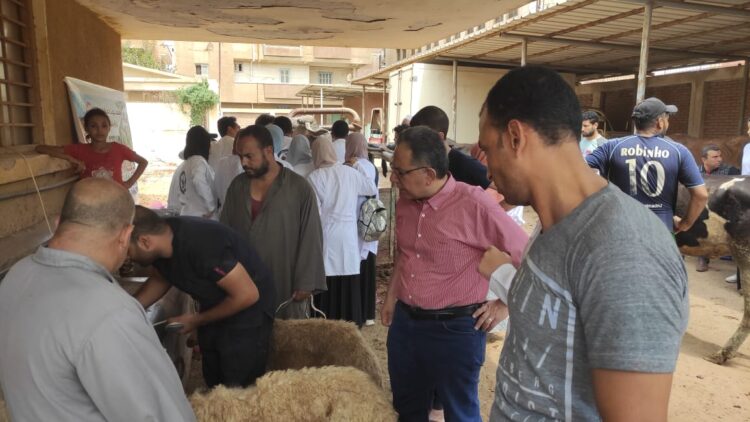 طب بيطري المنوفية في قافلة بيطرية بمليج 1 طب بيطري المنوفية في قافلة بيطرية بمليج