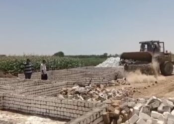 محافظ الإسكندرية : حملات مكبرة لإزالة التعديات على أراضي هيئة الآثار ومديرية الزراعة بنطاق الأحياء