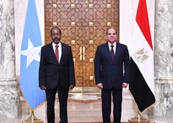 الرئيس السيسي يتلقى إتصالاً هاتفياً من الرئيس الصومالي حسن شيخ محمود
