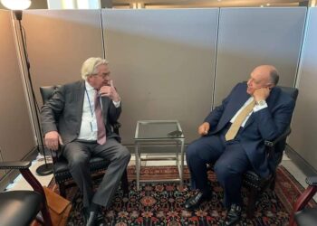 سامح شكري يبحث المستجدات على الساحة الفلسطينية مع المنسق الأممي الخاص لعملية السلام في الشرق الأوسط