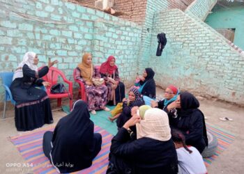 توعية  السيدات بالتغيرات المناخية داخل منازلهم بقرية الرديسيه بأسوان