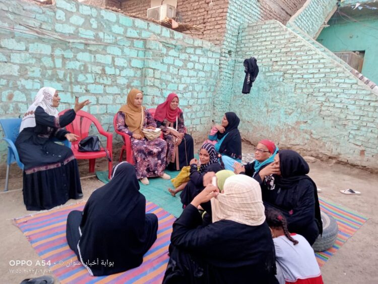 توعية  السيدات بالتغيرات المناخية داخل منازلهم بقرية الرديسيه بأسوان