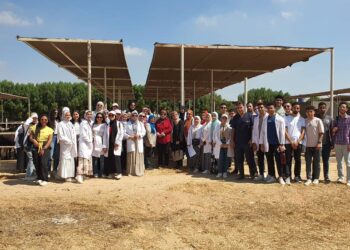 الزراعة والتعليم العالي يؤهلان شباب الخرجين لسوق العمل