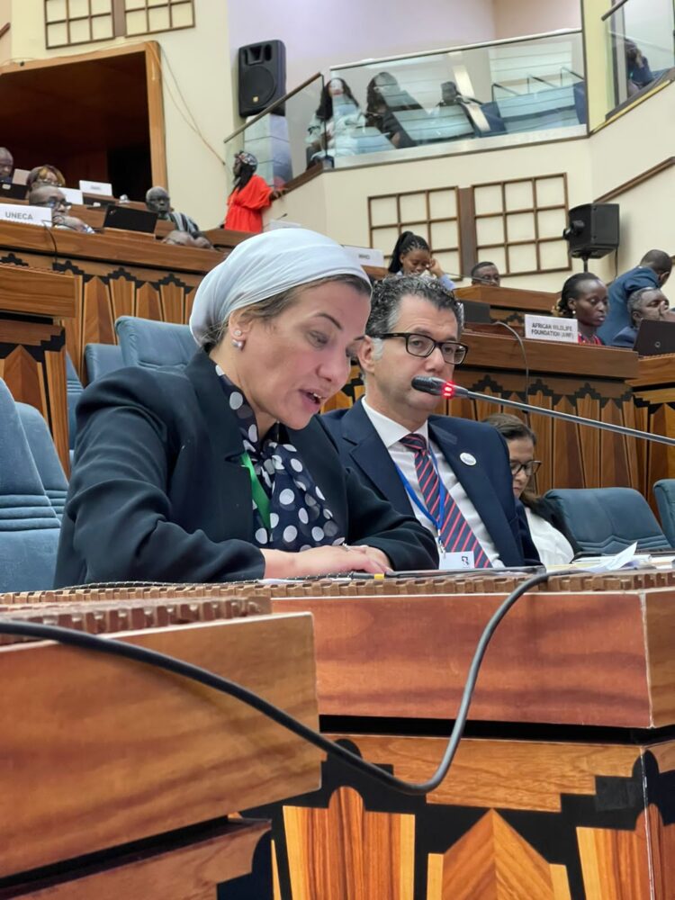 وزيرة البيئة تلقى كلمة مصر فى المؤتمر الوزاري الأفريقي بالسنغال 1 وزيرة البيئة تلقى كلمة مصر فى المؤتمر الوزاري الأفريقي بالسنغال
