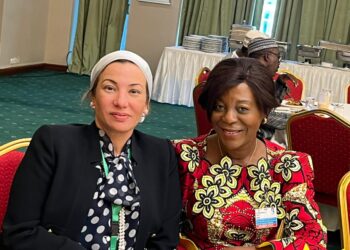 تعاون بين مصر والكونغو لتقديم النماذج الأفريقية الرائدة في مؤتمر المناخ COP27 