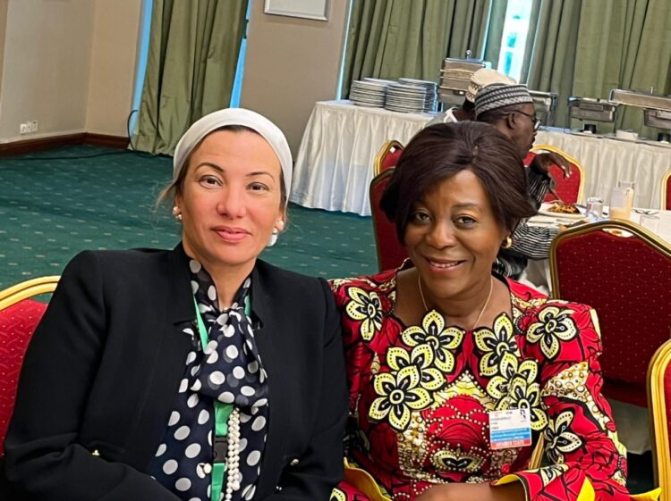 تعاون بين مصر والكونغو لتقديم النماذج الأفريقية الرائدة في مؤتمر المناخ COP27  1 تعاون بين مصر والكونغو لتقديم النماذج الأفريقية الرائدة في مؤتمر المناخ COP27