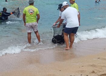 حملة لتنظيف قاع البحر بشاطئ ستانلى بالإسكندرية بمشاركة فريق من اجل مصر