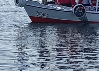 منصة أسوان تشارك فى حملة تطهير نهر النيل