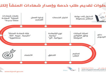 التجارة والصناعة وترويج الاستثمار العمانية تبدأ إصدار شهادات المنشأ إلكترونيا