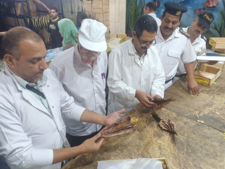 ضبط 1500 طن من الأسماك المدخنة وتحرير 5 محاضر خلال حملات تفتيشية ورقابية على الأسواق بالغربية