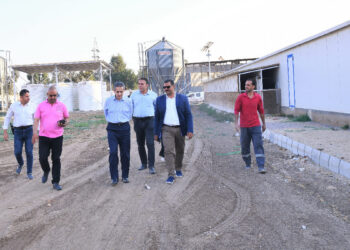 محافظ الغربية يتفقد مشاريع الرصف والتطوير بمركز ومدينة طنطا