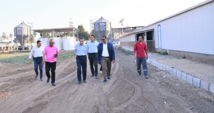 محافظ الغربية يتفقد مشاريع الرصف والتطوير بمركز ومدينة طنطا