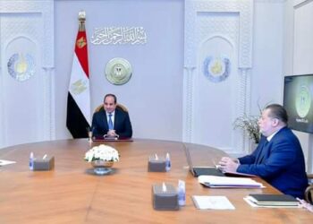 الرئيس السيسي يوجه الحكومة والبنك المركزي ببلورة مبادرات جديدة لتحفيز وجذب الإستثمارات الأجنبية إلى مصر