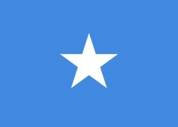 أبو الغيط يدين الهجوم الإرهابي الغادر الذي استهدف وزارة التعليم في مقديشيو