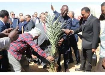 سفير السنغال من الوادي الجديد يؤكد أن مصر لديها ثروات كثيرة وخبرات كبيرة