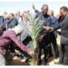 سفير السنغال من الوادي الجديد يؤكد أن مصر لديها ثروات كثيرة وخبرات كبيرة 13 سفير السنغال من الوادي الجديد يؤكد أن مصر لديها ثروات كثيرة وخبرات كبيرة