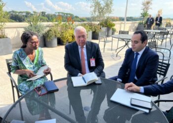 وزير الزراعة يلتقي خبيرين دوليين في ادارة ازمات الامن الغذائي بالأمم المتحدة