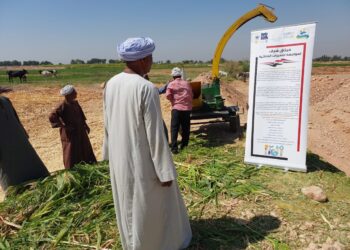تدريب على تدوير المخلفات الزراعية وندوة للتوعية بقضايا المناخ في قنا