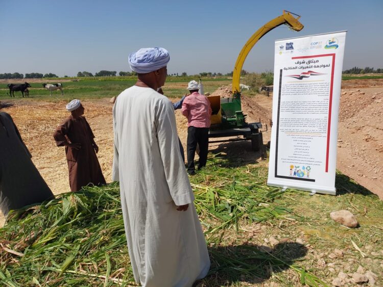 تدريب على تدوير المخلفات الزراعية وندوة للتوعية بقضايا المناخ في قنا
