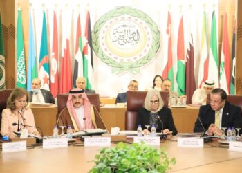كلمة الأمين العام لجامعة الدول العربية في يوم الوثيقة العربية