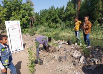 ندوة وحملة تشجير للتوعية بالتغيرات المناخية للمنصة المحلية في قنا