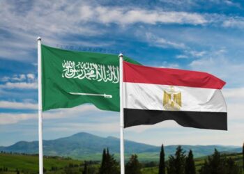 مصر تدعم موقف المملكة العربية السعودية في شرح الإعتبارات الفنية لقرار منظمة “أوبك + “